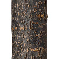 Ebony finish with Pine background La Lune Collection