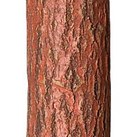 Redwood finish La Lune Collection