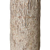 Sandstone finish La Lune Collection